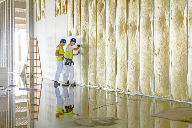 Best Energy Efficiency Insulation in Albion, IL